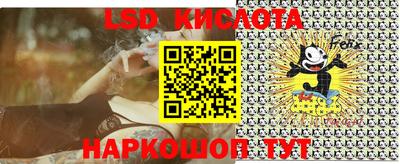 прущие грибы Гусев