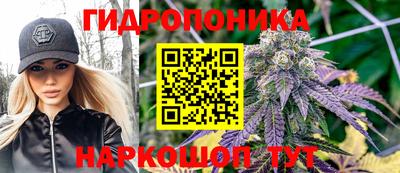 прущие грибы Гусев