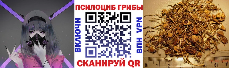Галлюциногенные грибы GOLDEN TEACHER  Бутурлиновка 