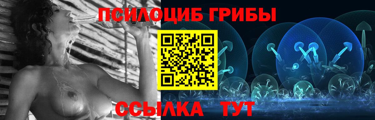 Бутурлиновка  Псилоцибиновые грибы GOLDEN TEACHER  Вход с VPN  Галлюциногенные грибы Psilocybe 